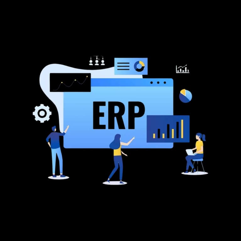 ERP system through seamless data migration