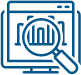 Website Audit